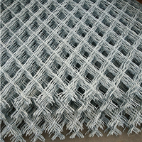 安平縣中禹金屬絲網制品廠