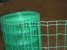 新疆荷蘭網18099102558